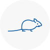 Mice Exterminators In Rushden